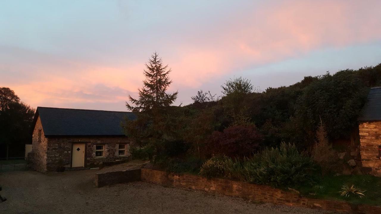 Tara Hill Estate Gorey Exterior foto